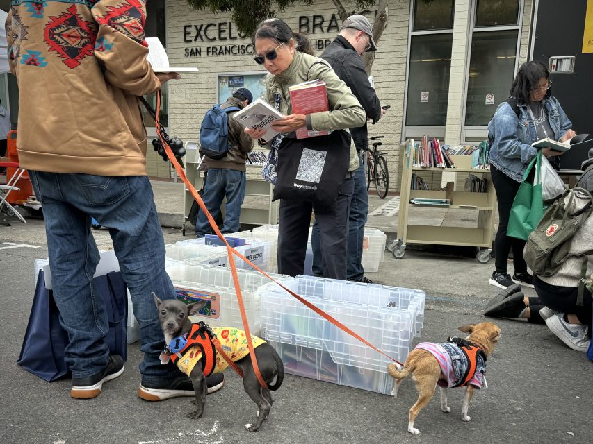 People reading books at an outdoor book sale. Two small dogs on leashes are in the foreground.