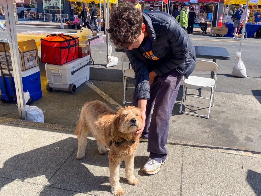 A person wearing a dark jacket and leaning over to pet a brown dog at an outdoor market with tents and various items in the background.