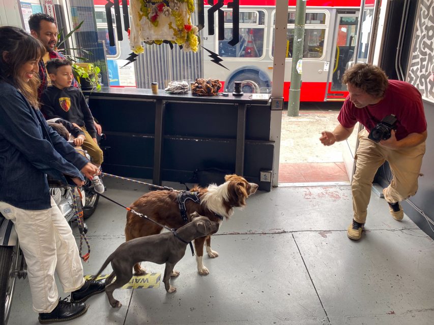 A man is taking a photo of two dogs while a group of people watch and smile. A child is sitting on a bicycle. An open door shows a red bus outside.