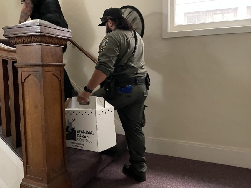 An animal care officer carries a white SF Animal Care & Control box up a flight of stairs, followed by a person holding a large black object.