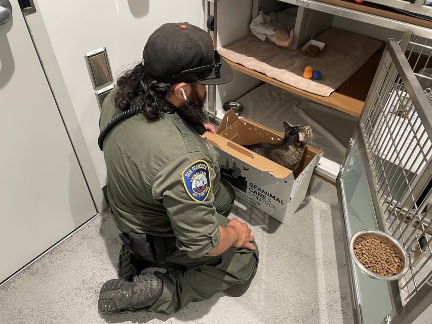 A person in uniform kneels next to a box with a cat in it inside an animal shelter. Various animal care items are visible, such as food bowls and toys.