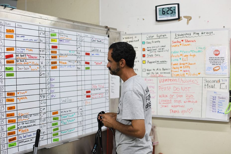 A person stands in front of two whiteboards filled with schedules, tasks, and notes. A clock on the wall shows 6:25. The person appears to be reviewing or updating information on the whiteboards.