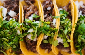 Close-up of four tacos filled with shredded meat, chopped onions, and cilantro, wrapped in yellow corn tortillas.