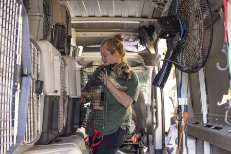 A person holds a dog inside a van equipped with multiple pet crates, fans, and various supplies.