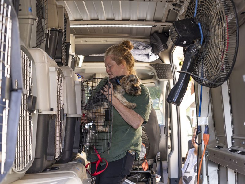 A person holds a dog inside a van equipped with multiple pet crates, fans, and various supplies.