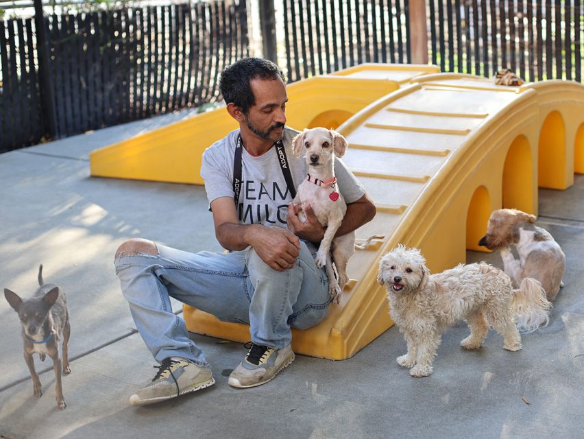 A man sits on the ground near a yellow play structure, holding a small dog while three other dogs stand around him.