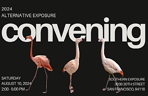 Promotional image for the 2024 Alternative Exposure event called "Convening," showing three flamingos on a black background. Event date: Saturday, August 10, 2024, 2:00–5:00 PM, at 3030 20th Street, San Francisco.