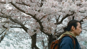 A person with a backpack stands under a blooming cherry blossom tree, looking to the right.