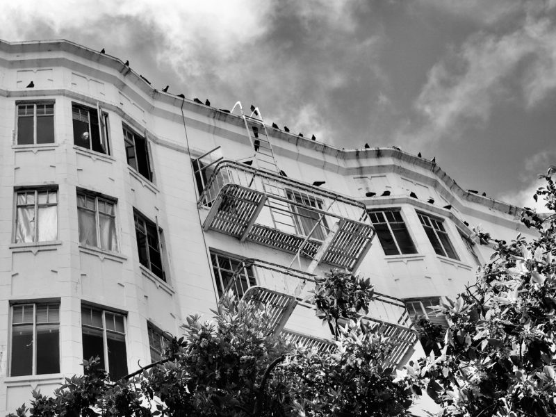 Black and white photo of a multi-story building with fire escapes and birds perched along the roof. Some windows are open, and trees partially obscure the structure.