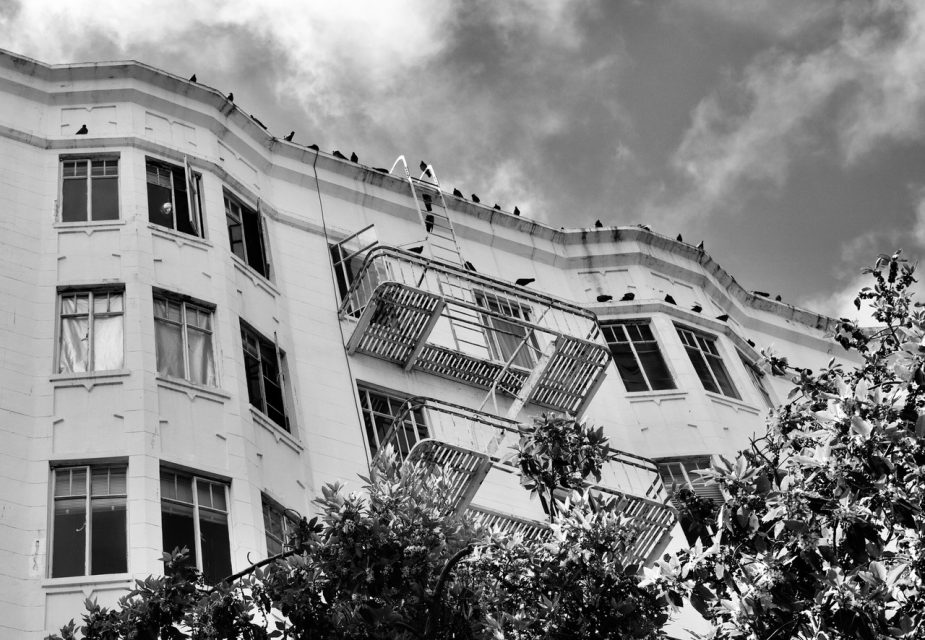 Black and white photo of a multi-story building with fire escapes and birds perched along the roof. Some windows are open, and trees partially obscure the structure.