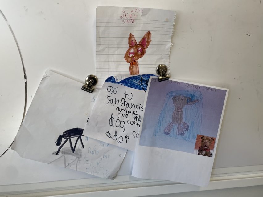 Four children's drawings featuring animals are clipped onto a whiteboard. One text mentions a dog adoption.