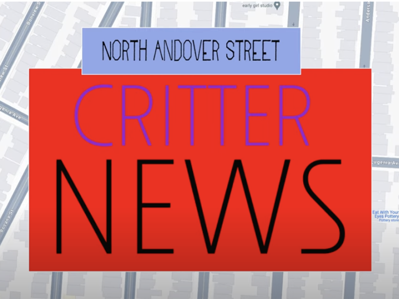 A map background with the words "North Andover Street" and a red banner stating "Critter News" in purple and black text.
