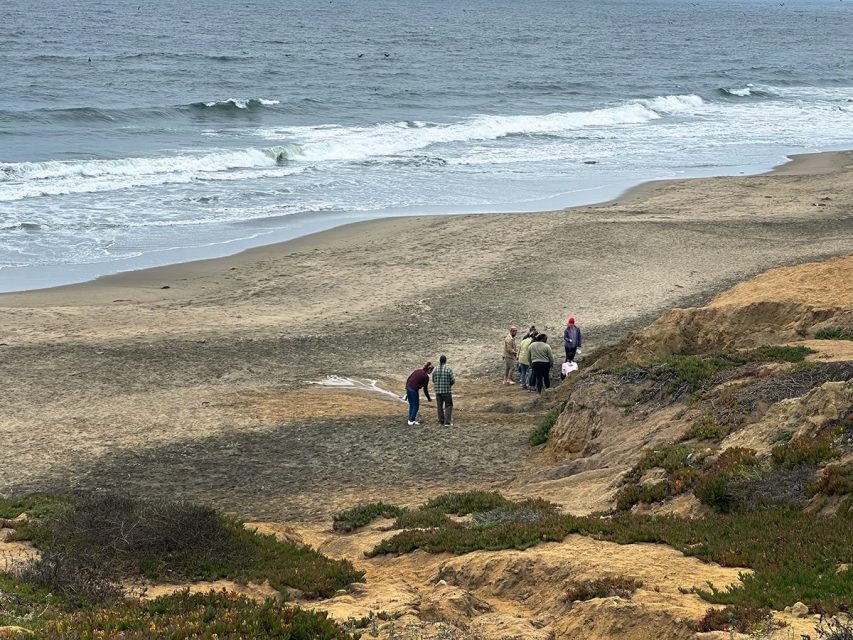 A small group of people stands near the shoreline on a sandy beach overlooking the ocean waves, with rocky terrain and vegetation in the foreground.