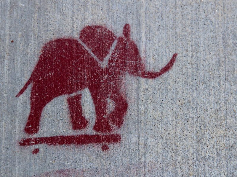 Graffiti of a red elephant on a skateboard, painted on a concrete surface.