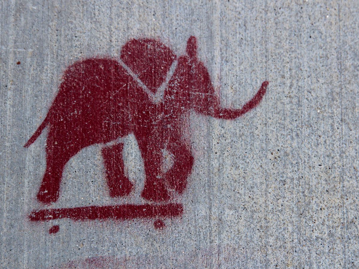 Graffiti of a red elephant on a skateboard, painted on a concrete surface.