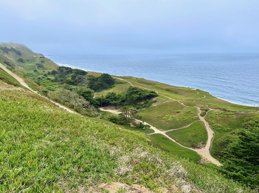 A coastal landscape featuring grass-covered hills and winding dirt paths, leading to the ocean under a cloudy sky.