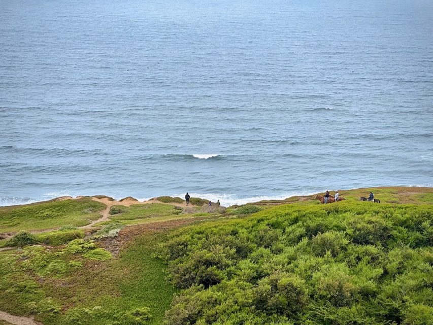 Two people and a dog stand near the edge of a seaside cliff with lush green vegetation, overlooking the ocean on an overcast day.