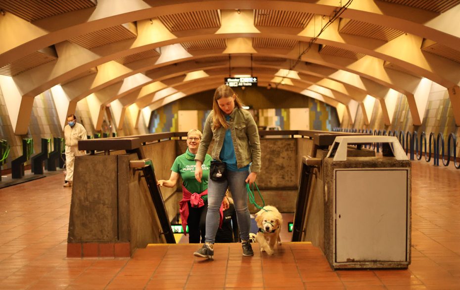 A young woman with a guide dog descends stairs in a subway station, followed by a woman in a green shirt and an older man. An individual in a light outfit walks in the background.