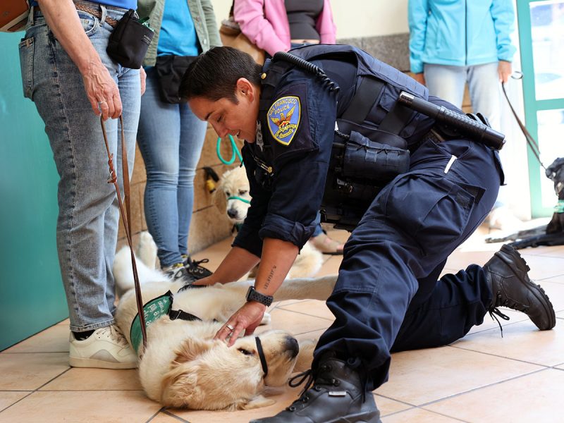 A uniformed officer is kneeling and petting a service dog lying on the floor in a brightly lit room, surrounded by people.