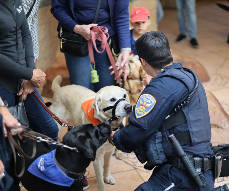 A police officer interacts with a yellow dog wearing an orange vest and a black muzzle, surrounded by other dogs and people.