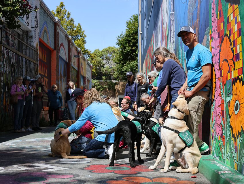 A group of people in a colorful alley training guide dogs, with several dog handlers and dogs sitting and standing in a row. Spectators are watching from the side.