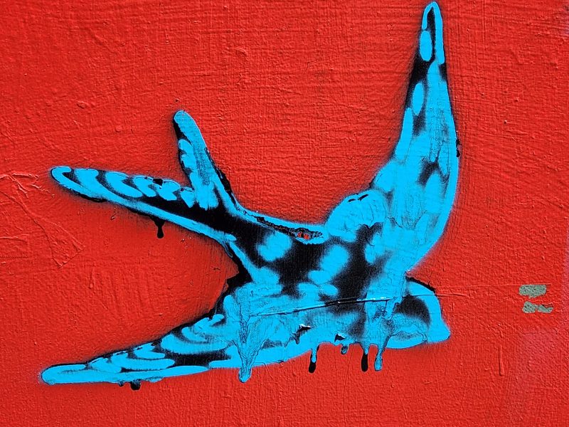 Mural of a blue bird in flight with dripping paint on a vibrant red wall.
