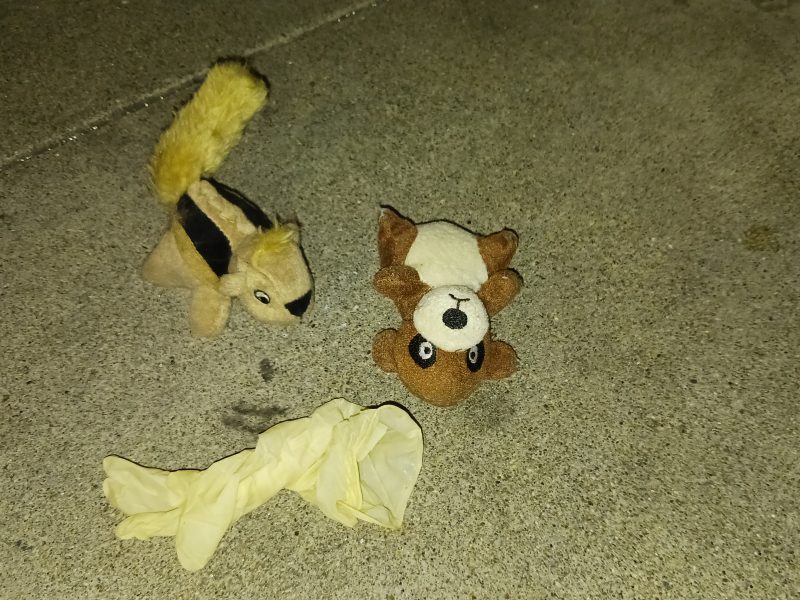 Two small plush toys and a crumpled latex glove lie on a concrete surface.