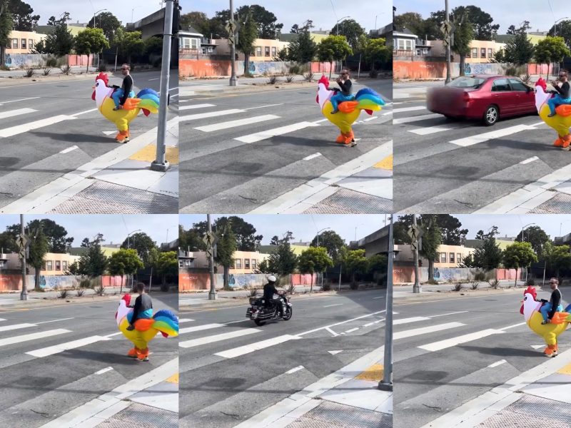 A person in a colorful rooster costume crosses the street at a crosswalk as a red car and a motorcyclist pass by.