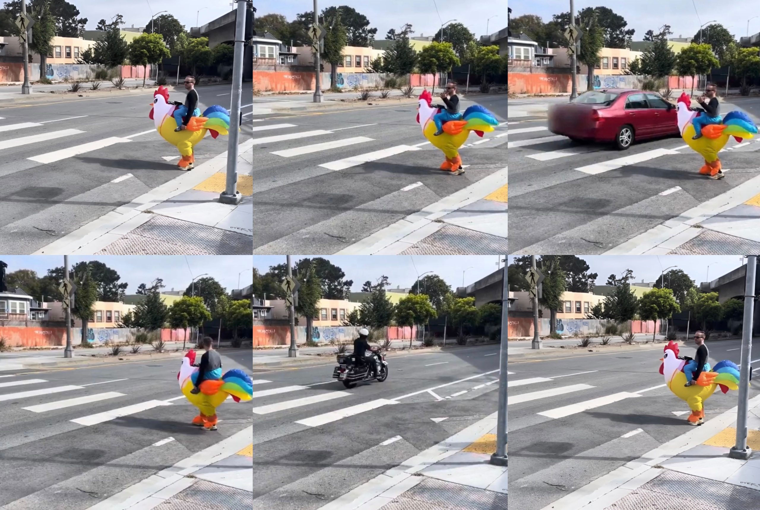 A person in a colorful rooster costume crosses the street at a crosswalk as a red car and a motorcyclist pass by.