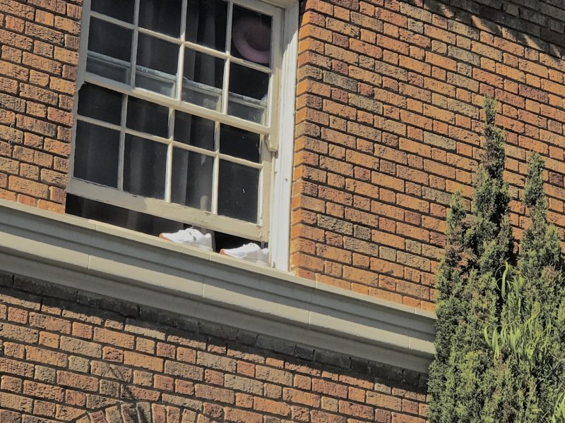 An open window with white sneakers placed on the sill is seen on a brick building with a small tree next to it.