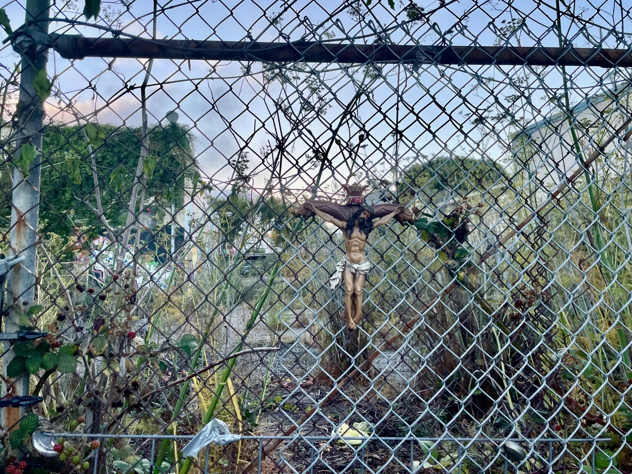 A crucifix is attached to a chain-link fence in an overgrown, abandoned area with tall grass and shrubs.