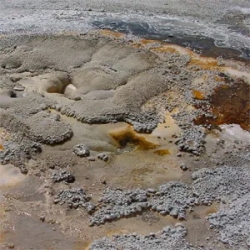 Barren geothermal landscape with mud pots and mineral deposits, displaying various shades of grey, brown, and yellow, with a clear divide between different textures and colors.