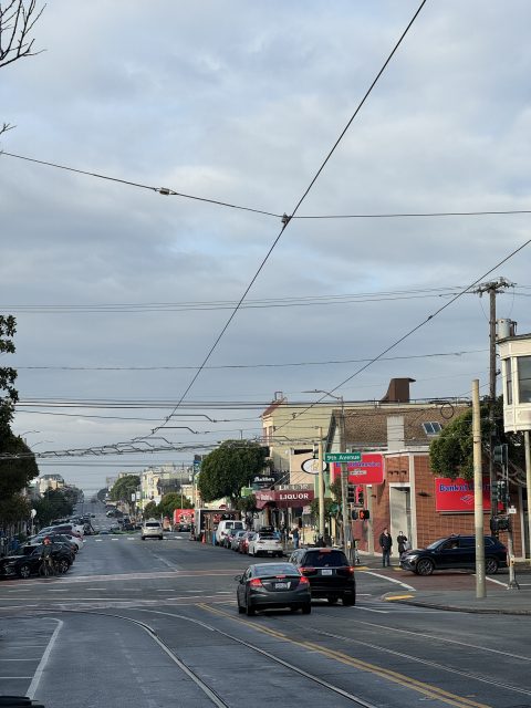 街景：人行道旁停著汽車，有幾家商店，包括一家酒類商店，街燈和電線架在頭頂上，天氣陰沉。