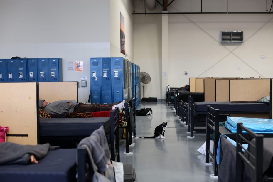A large room with rows of beds, lockers, and a few people lying down. A black and white cat sits in the aisle.