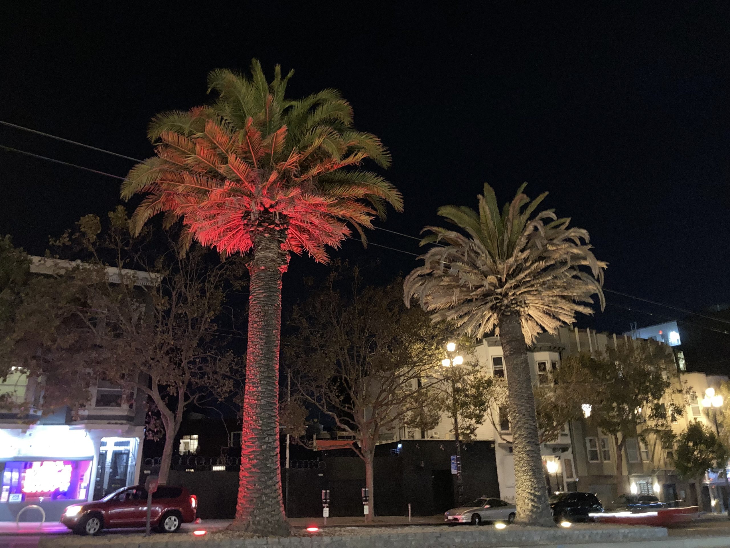 Two tall palm trees, one lit with red lights, stand by a street at night. Cars are parked nearby, and buildings are visible in the background.