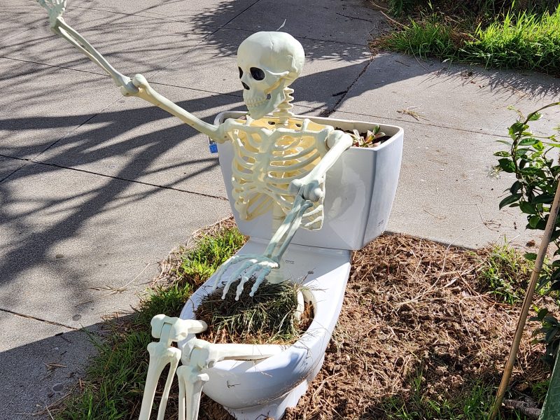 A skeleton is positioned sitting on an old toilet outdoors, with grass and plants around it.