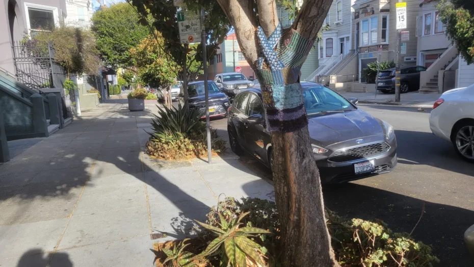 A tree with colorful yarn wrapped around its trunk stands on a sunny sidewalk. Multiple cars are parked along the street with residential buildings in the background.