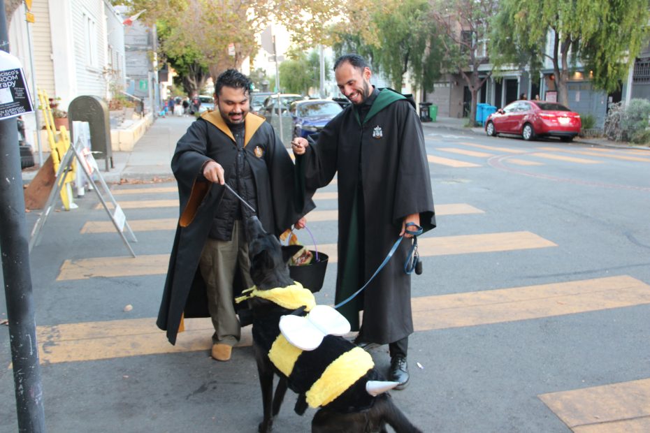 Two people in costume pet a black dog wearing a bee costume on a city street.