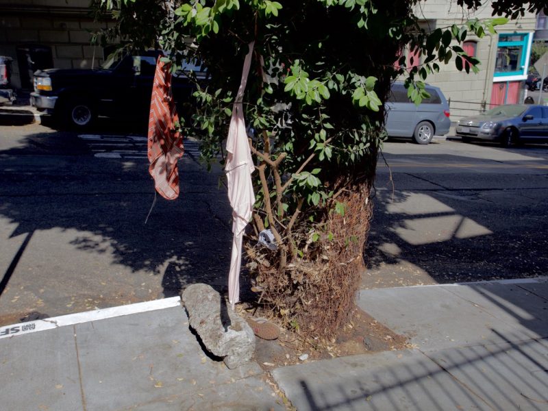 A tree with a metal pole has clothing items hanging on it, surrounded by a rock and a pot, located on a sidewalk near a street.