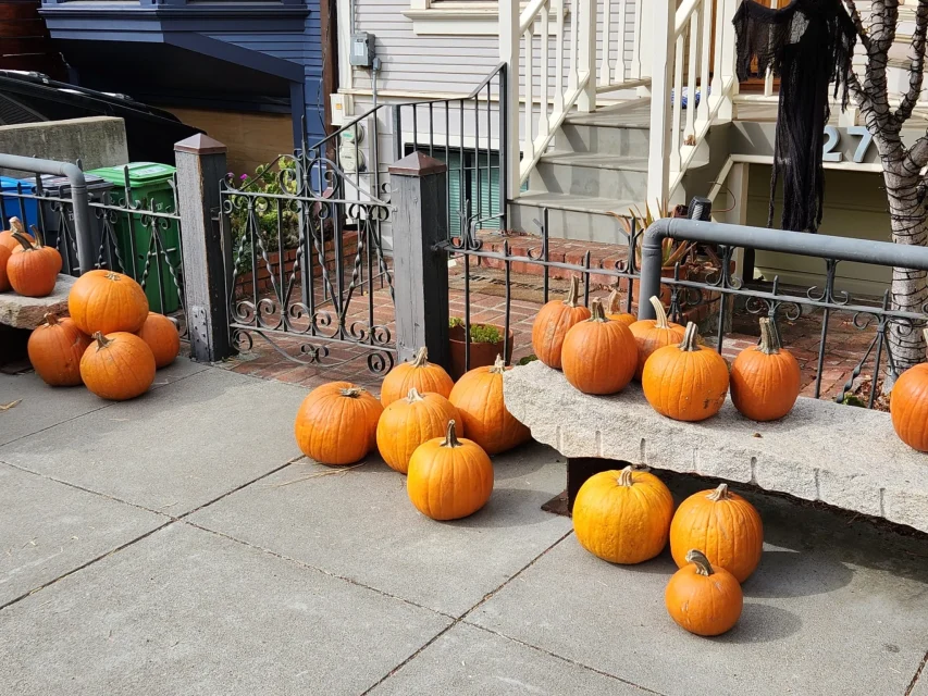 Pumpkins arranged on a sidewalk and stone benches in front of a house with an iron fence.