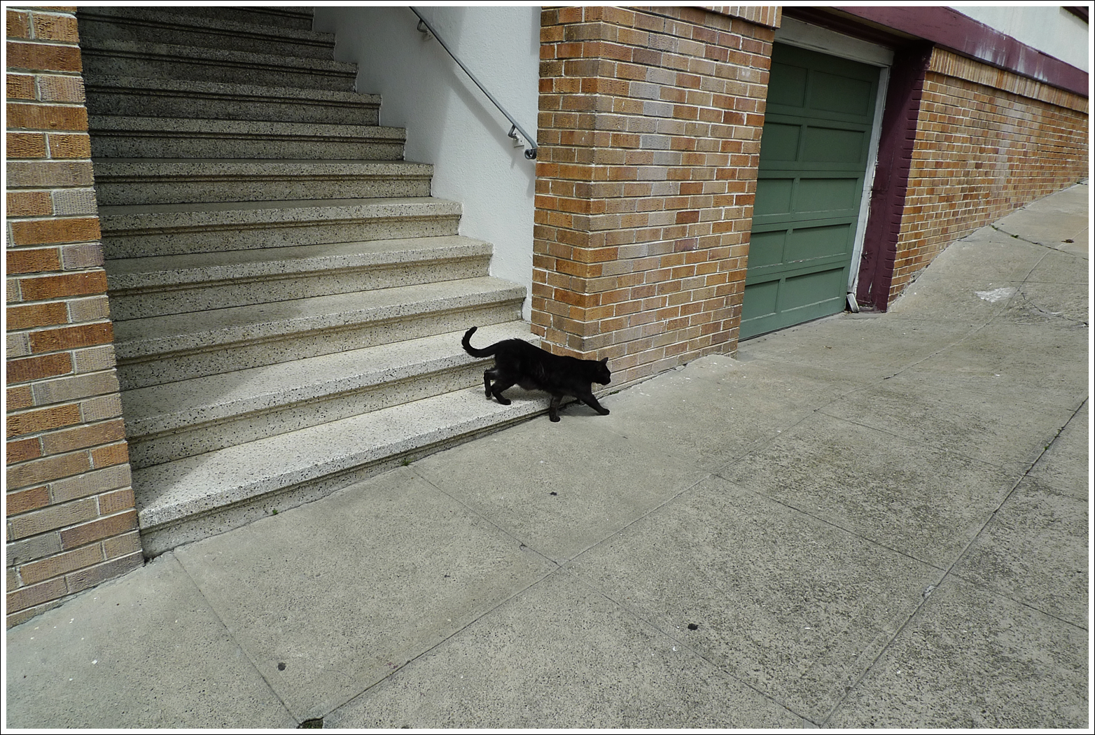 A black cat walks on a sidewalk next to a brick wall and staircase.