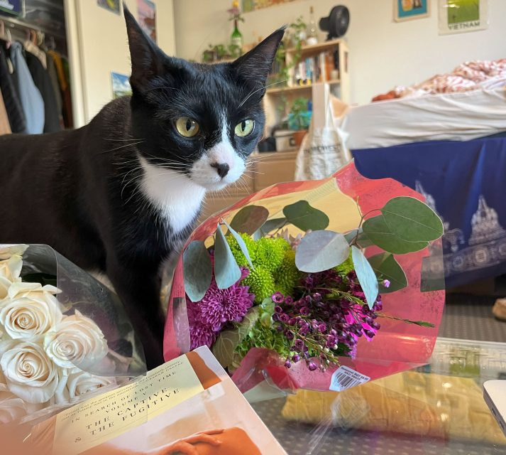 A black and white cat stands near a bouquet of flowers on a table, with more flowers, a book, and a bed in the background.
