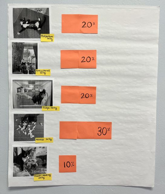 A bar chart shows percentage breakdowns with cat photos labeled: Postpartum 20%, Motherhood 20%, Friday 20%, Menace 30%, Productive Weekend 10%.