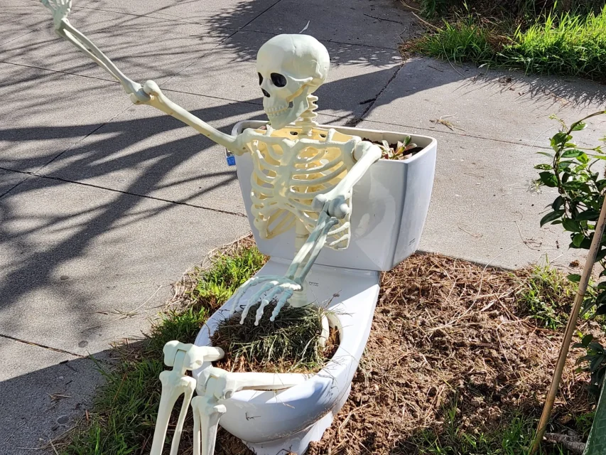 A skeleton sits on a toilet placed outdoors, with plants growing inside the bowl and tank.