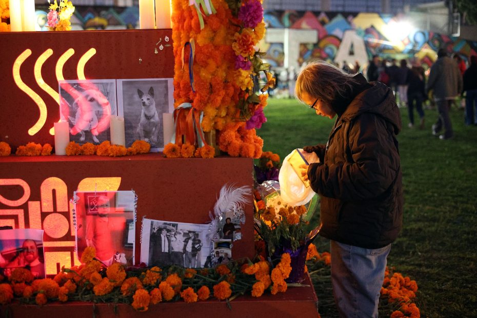 A person places an item on a decorated altar with marigolds and photos, likely for a Day of the Dead celebration.