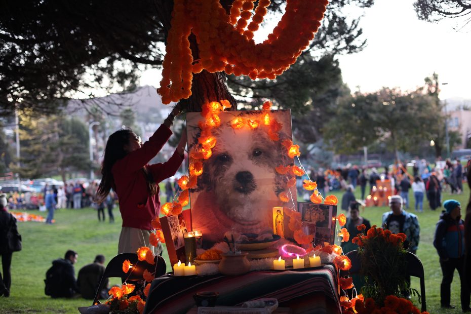 A person decorates a memorial altar with candles and flowers, featuring a large dog portrait, in a park setting during a gathering.