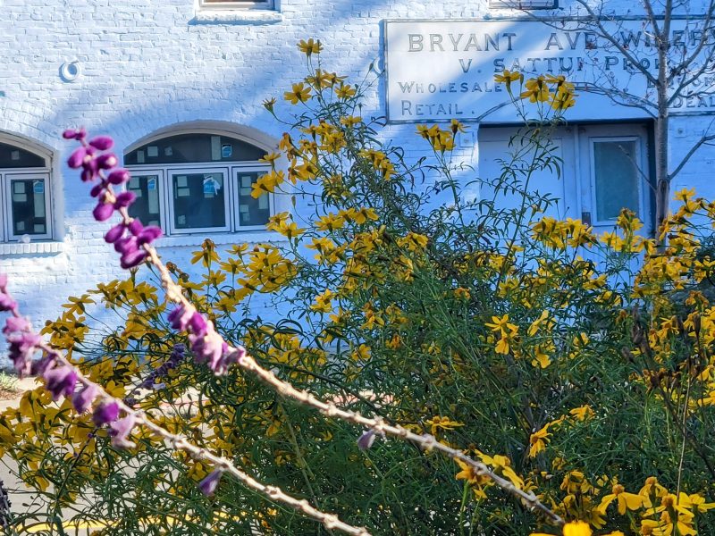 Colorful flowers in front of a light blue brick building with a sign reading "Bryant Ave. Wholesale."
