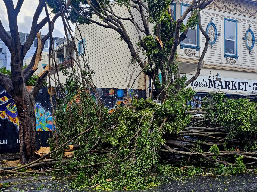 A storm has left fallen tree branches blocking the sidewalk in front of a building adorned with a mural and a market sign.