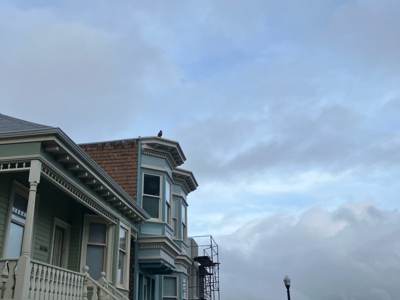 A residential street with colorful Victorian-style houses, a bird perched on a roof, overcast sky, and a distant city view.