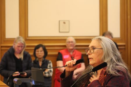 Mary Travis-Allen speaks in support of the Mission Action Plan 2030 during a Planning Commission meeting on Thursday Dec. 5, 2024. Photo by Oscar Palma.